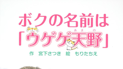 NSP本】ボクの名前は『ウゲゲ天野』 | NSP大好き♪ファンブログ